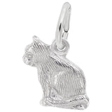 Charms Sterling Silver