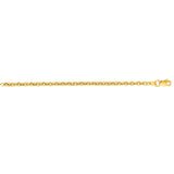 14K Yellow Gold 2.9mm Lite Forsantina 20 Chain with Lobster Lock