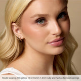 Sterling Silver 1/3 CTW Natural Diamond Hinged 15 mm Hoop Earrings