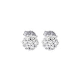 Earrings  Diamond
