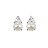Earrings  Colored Stone
