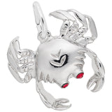 Charms Sterling Silver