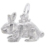 Charms Sterling Silver