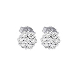 Earrings  Diamond