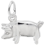 Charms Sterling Silver