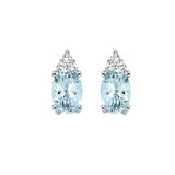Earrings  Colored Stone
