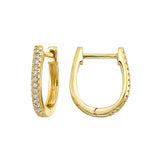 Earrings  Diamond