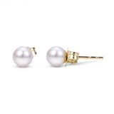 Earrings  Pearl