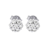 Earrings  Diamond