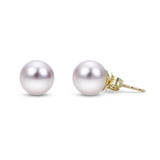 Earrings  Pearl