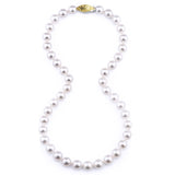 Pearls   Strand/ Necklace
