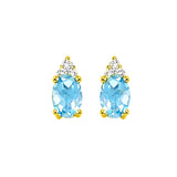 Earrings  Colored Stone