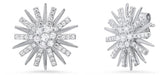 Earrings  Silver