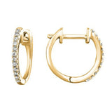 Earrings  Diamond