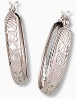 Earrings  Silver