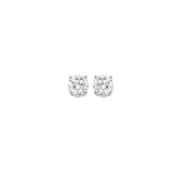 Earrings  Diamond