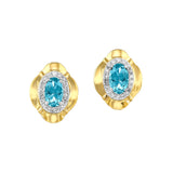 Earrings  Colored Stone