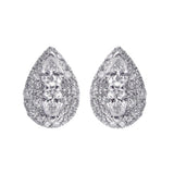Earrings  Diamond