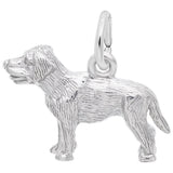 Charms Sterling Silver