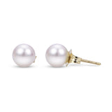 Earrings  Pearl