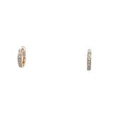 Earrings  Diamond
