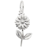 Charms Sterling Silver