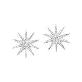 Earrings  Diamond
