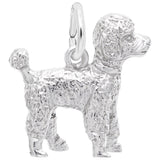Charms Sterling Silver