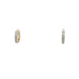 Earrings  Diamond