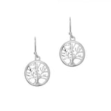 Earrings  Silver
